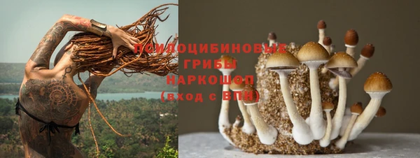 индика Армянск