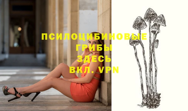 индика Армянск