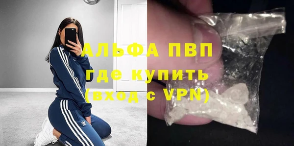 индика Армянск