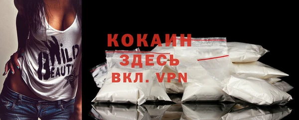 индика Армянск