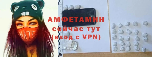 сатива Арсеньев