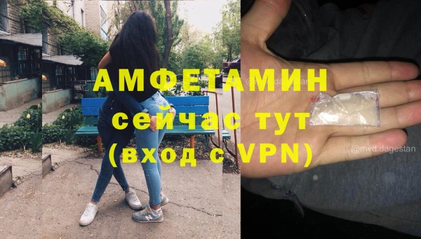 индика Армянск