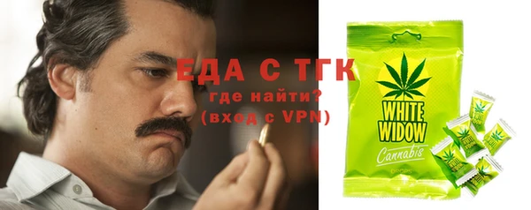 индика Армянск