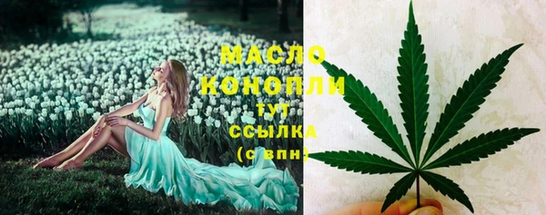 сатива Арсеньев