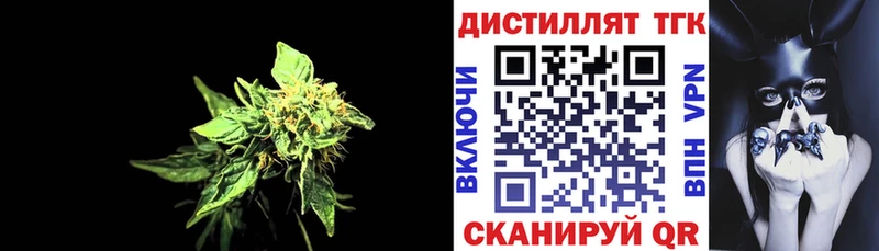 OMG как войти  Ковылкино  Дистиллят ТГК концентрат 