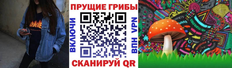 купить закладку Ковылкино Псилоцибиновые грибы GOLDEN TEACHER