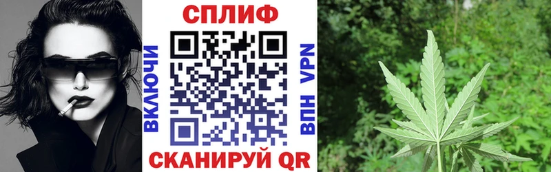 Канабис ГИДРОПОН дарнет шоп Ковылкино